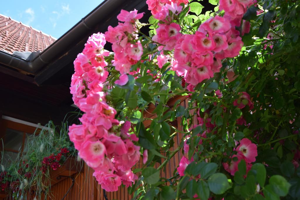 Apartment Pri Bostjanovcu Gorenja Vas (Gorenja Vas-Poljane)