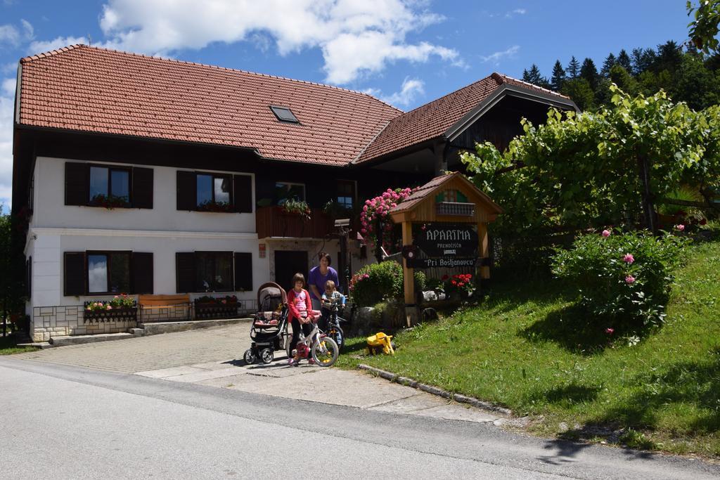 Apartment Pri Bostjanovcu Gorenja Vas (Gorenja Vas-Poljane)