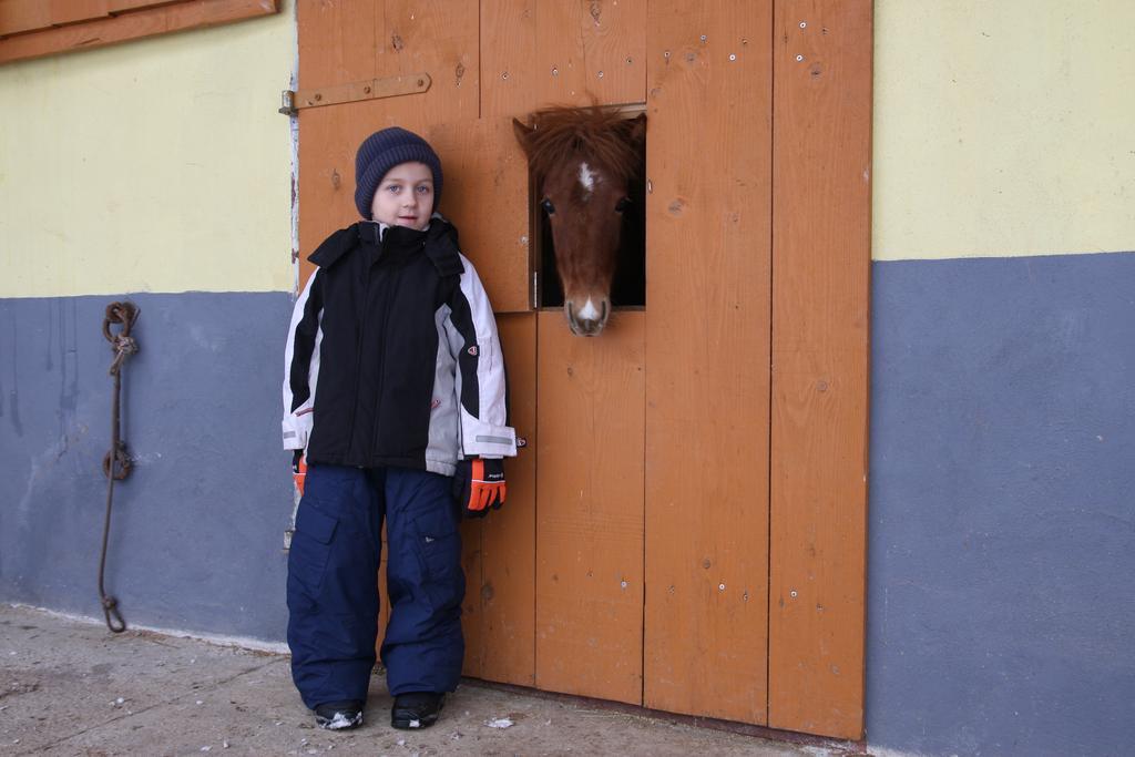 Pri Bostjanovcu Gorenja Vas (Gorenja Vas-Poljane)