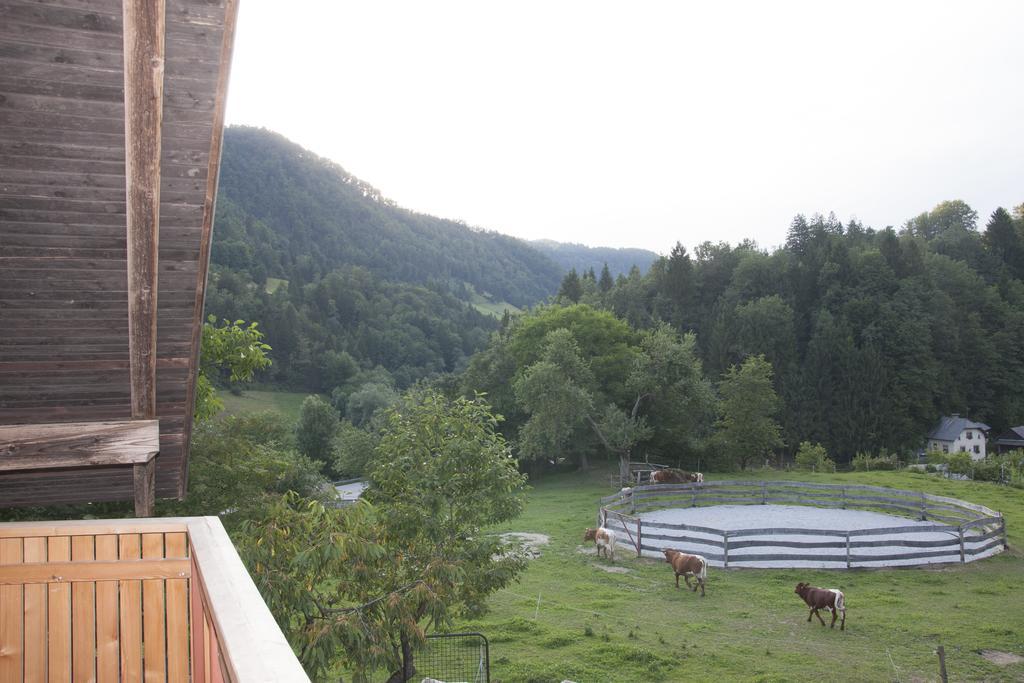 Pri Bostjanovcu