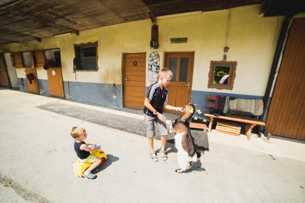 Pri Bostjanovcu *